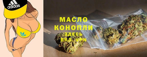 гидра Горняк