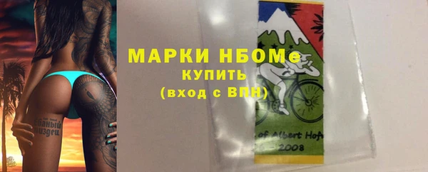 прущие грибы Горнозаводск