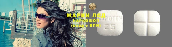 прущие грибы Горнозаводск