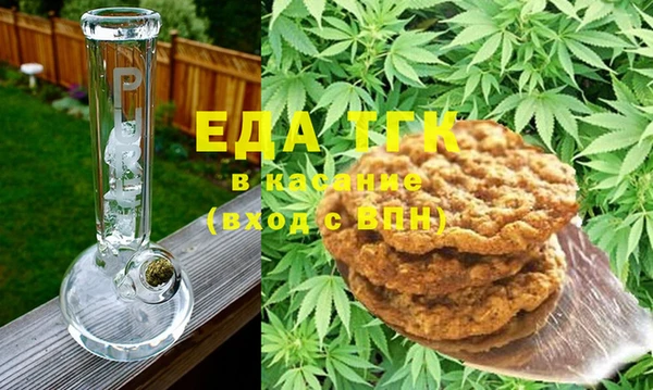 гидра Горняк