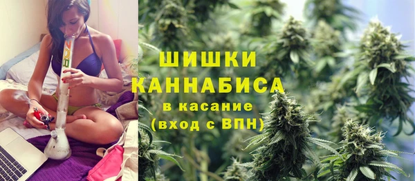 прущие грибы Горнозаводск