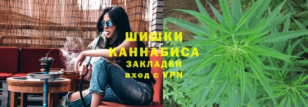 прущие грибы Горнозаводск