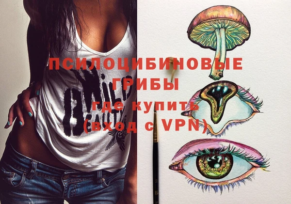 гидра Горняк