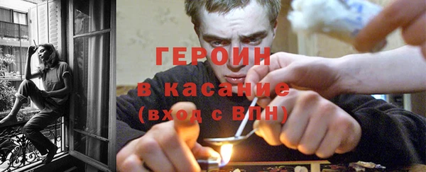 гидра Горняк