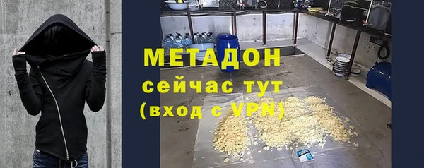 гидра Горняк