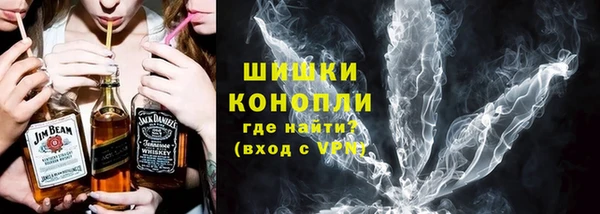 прущие грибы Горнозаводск