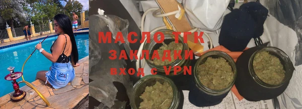 гидра Горняк