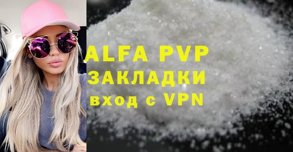 прущие грибы Горнозаводск