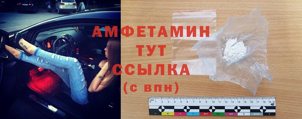 прущие грибы Горнозаводск