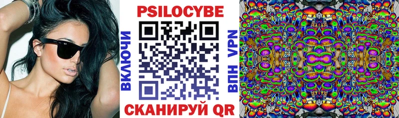 Псилоцибиновые грибы мухоморы  Купить закладки  Ленинск-Кузнецкий 